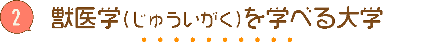 獣医学を学べる大学