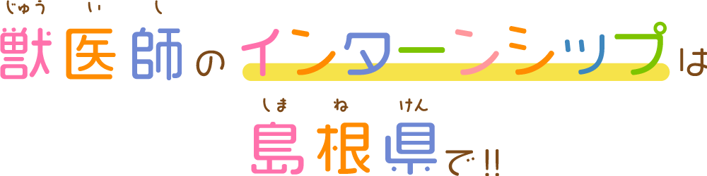 獣医師のインターンシップは島根県で！！