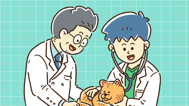 獣医学を学んでいる人のイラスト