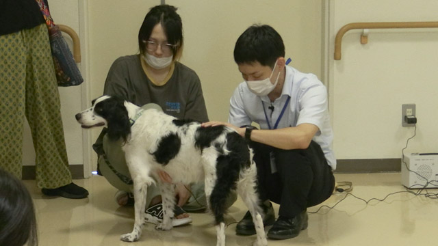 動物愛護