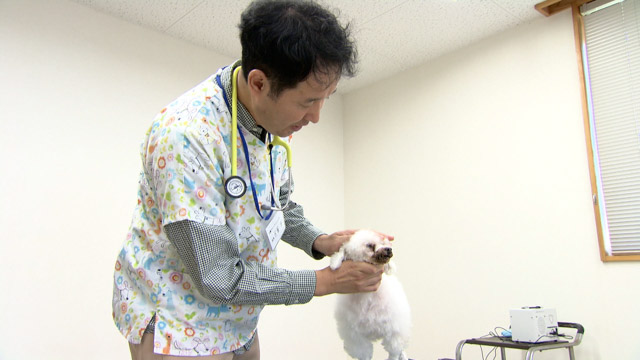 動物病院