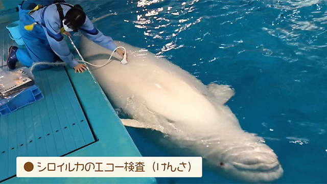 水族館