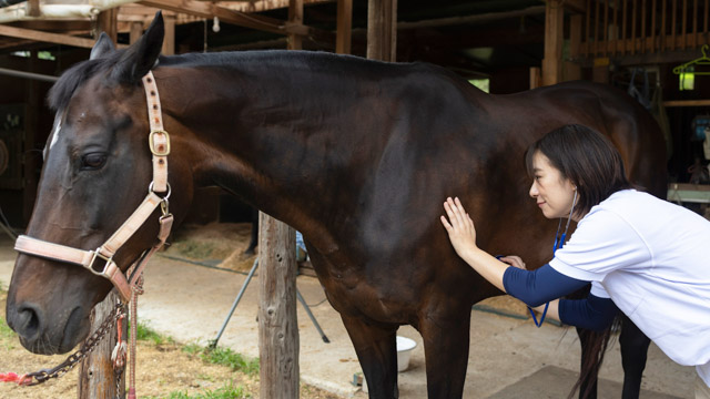 競馬場