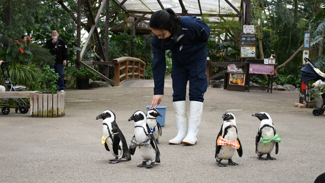 動物園