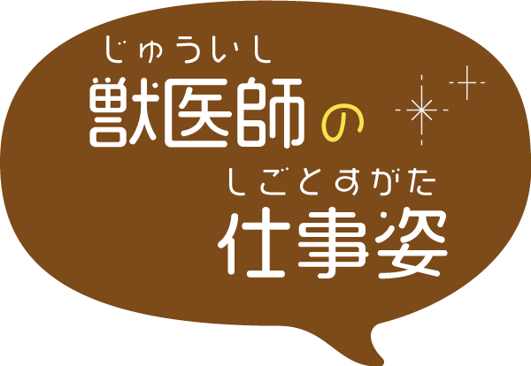 獣医師の仕事姿