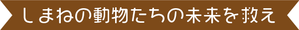 動画タイトル